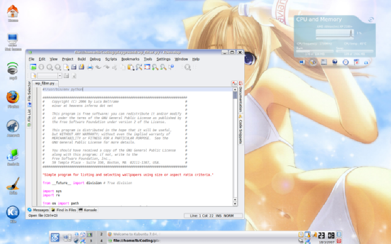 My Feisty desktop